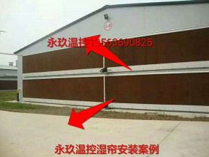 麻豆免费版在线观看安装现场