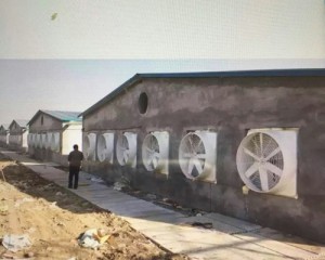 精品国产亚洲AV麻豆尤物安装现场
