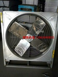 四叶牛舍精品国产亚洲AV麻豆尤物